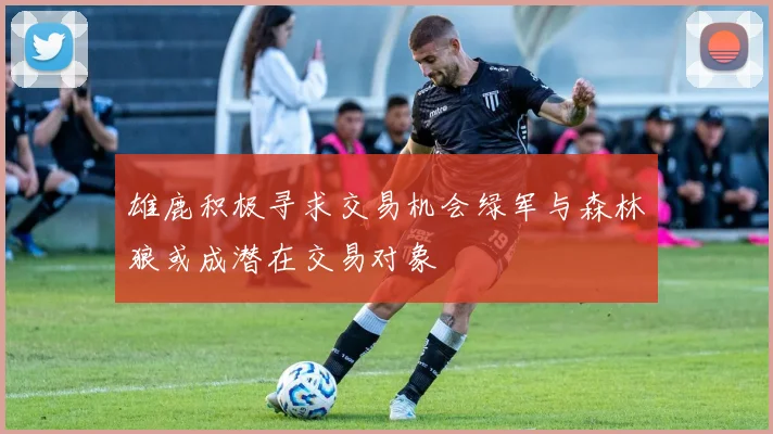 雄鹿积极寻求交易机会绿军与森林狼或成潜在交易对象
