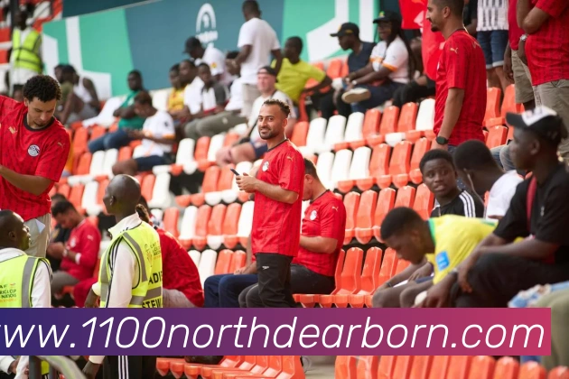 互动解说服务